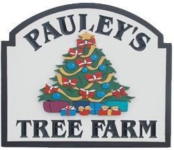 Pauley's Christmas Tree Farm in Braceville, Ohio.