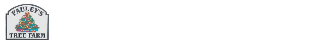 Pauley's Christmas Tree Farm in Braceville, Ohio.